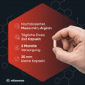 MACA HOCHDOSIERT+L-Arginin Vitamaze Kapseln